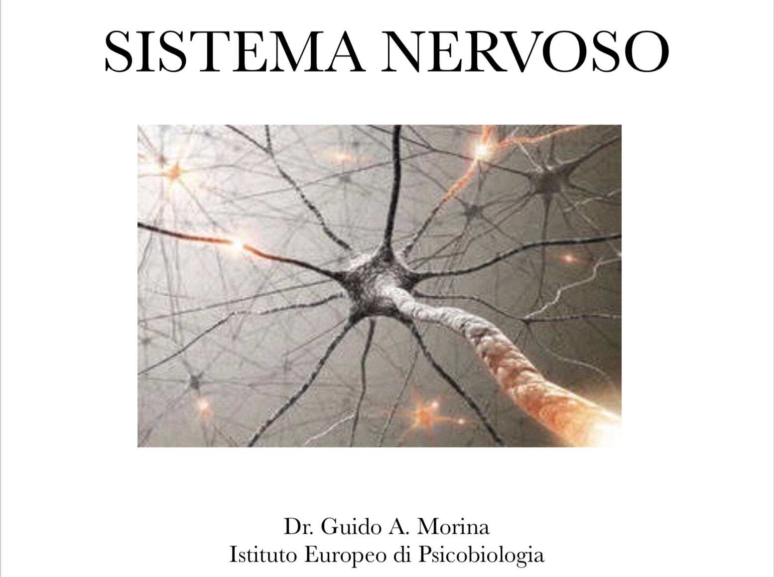 sistema nervoso centrale e periferico