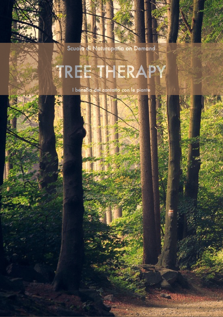 tree therapy