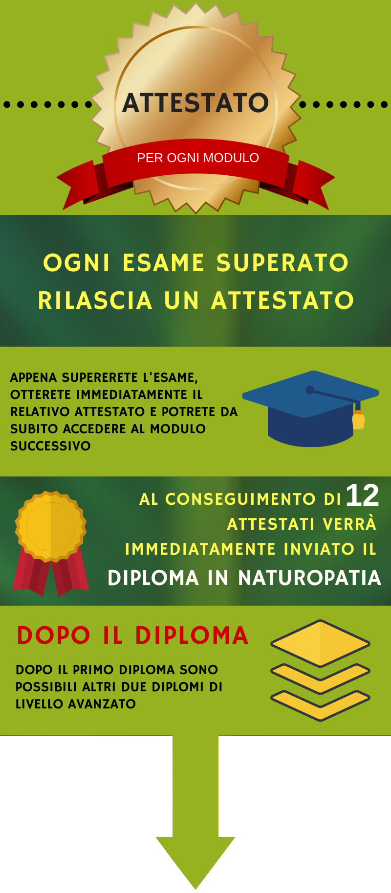 diploma di naturopatia online