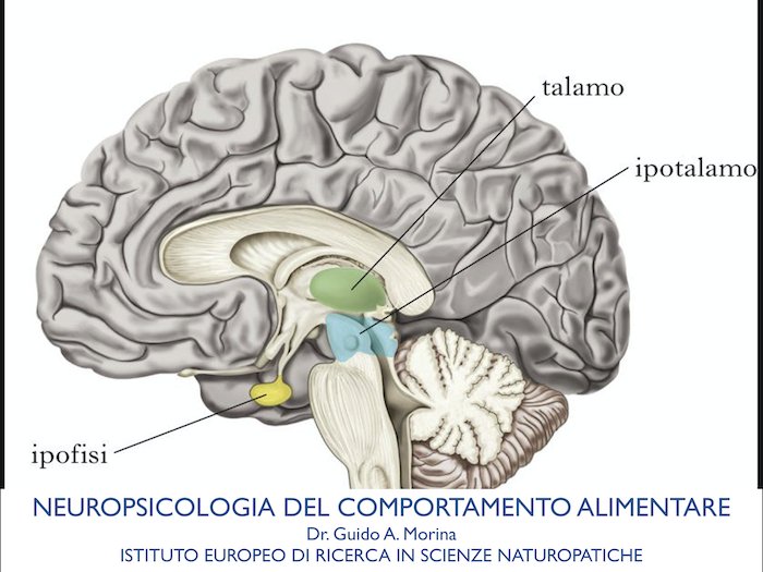 neuropsicologia