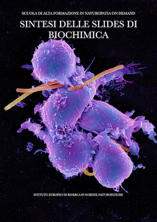 cellula