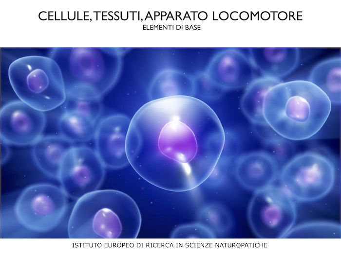 tessuti
