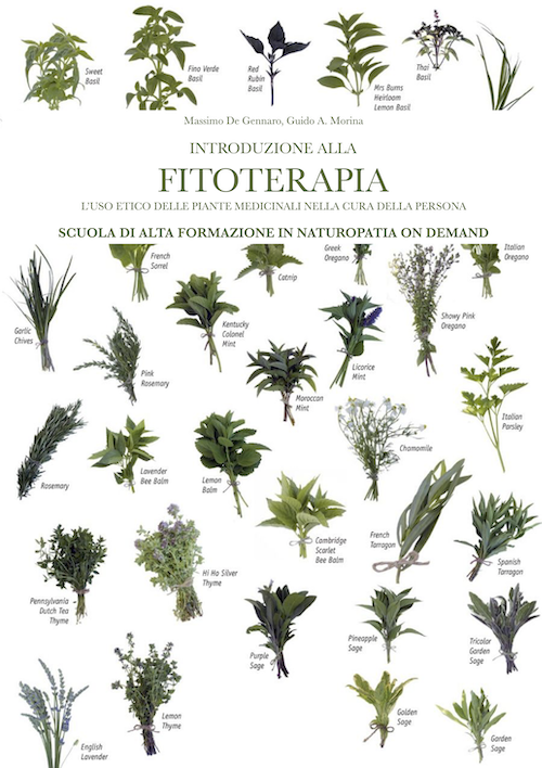 introduzione alla fitoterapia