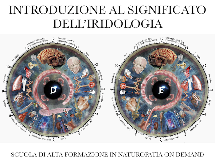 introduzione all'iridologia