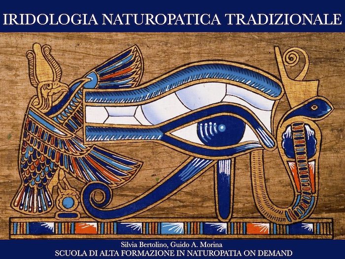 iridologia