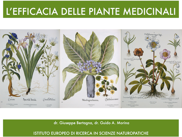 piante medicinali