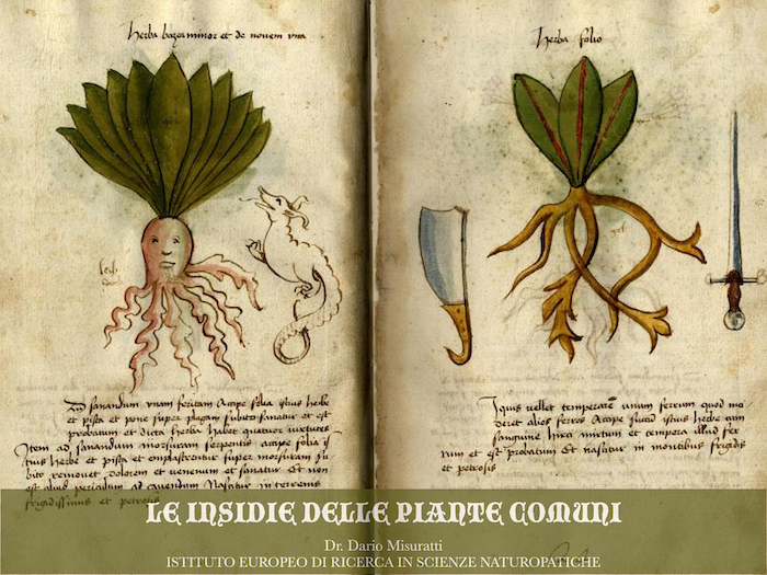 insidie del naturale