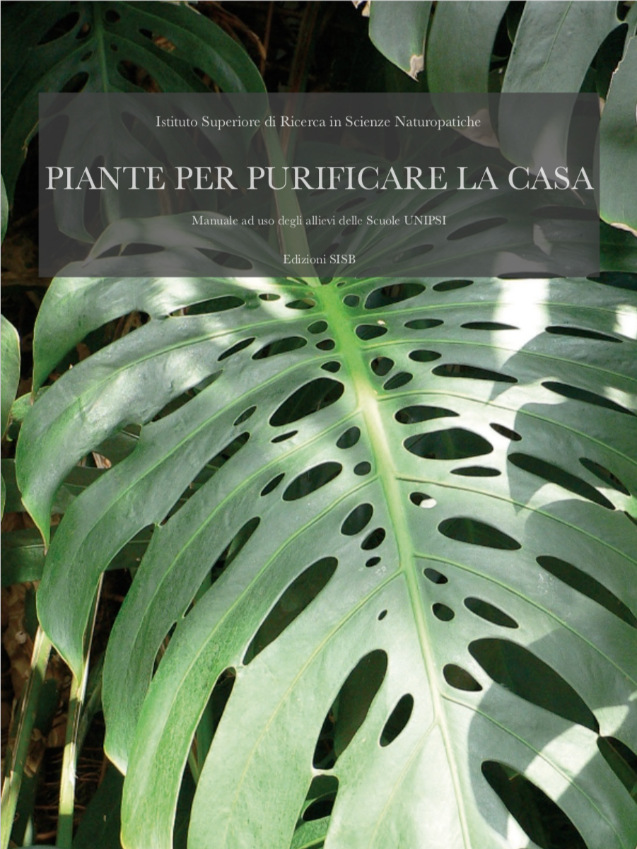 piante per purificare la casa