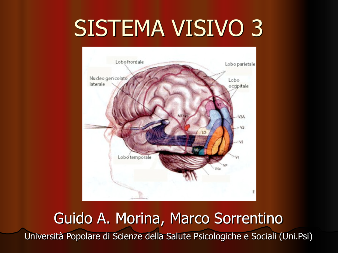 sistema visivo 3