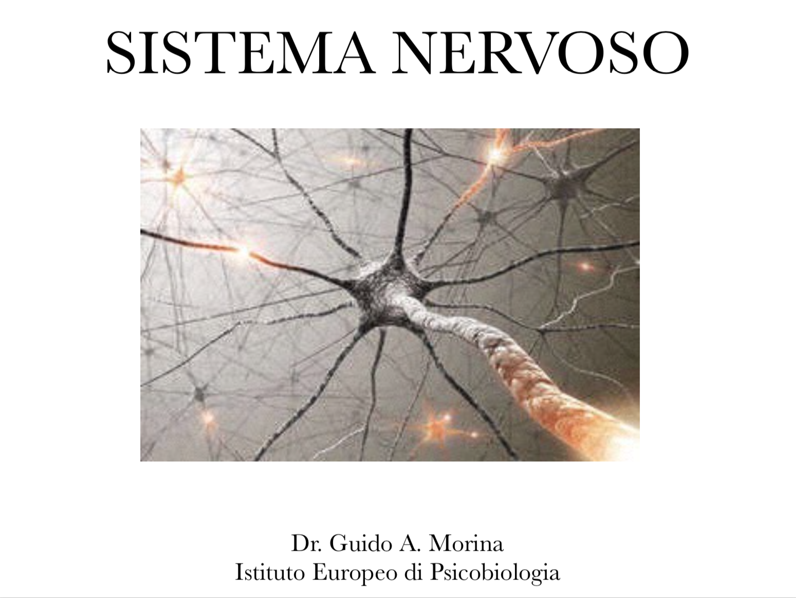 sistema nervoso