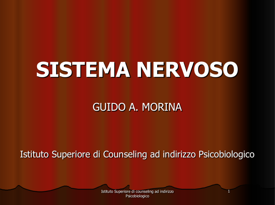 sistema nervoso 2