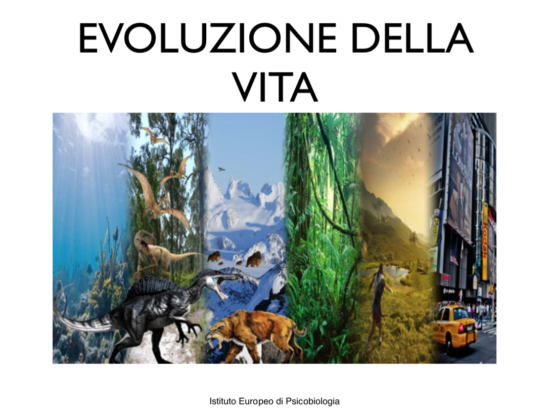 evoluzione della vita