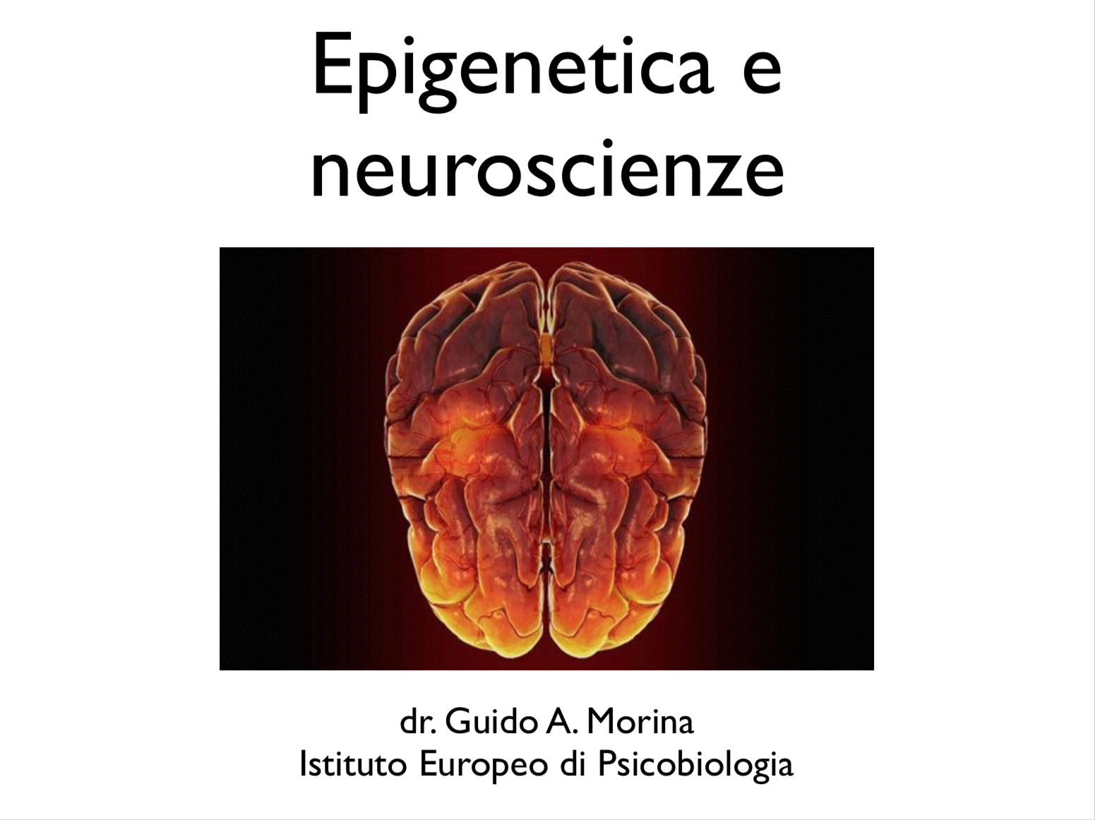 epigenetica