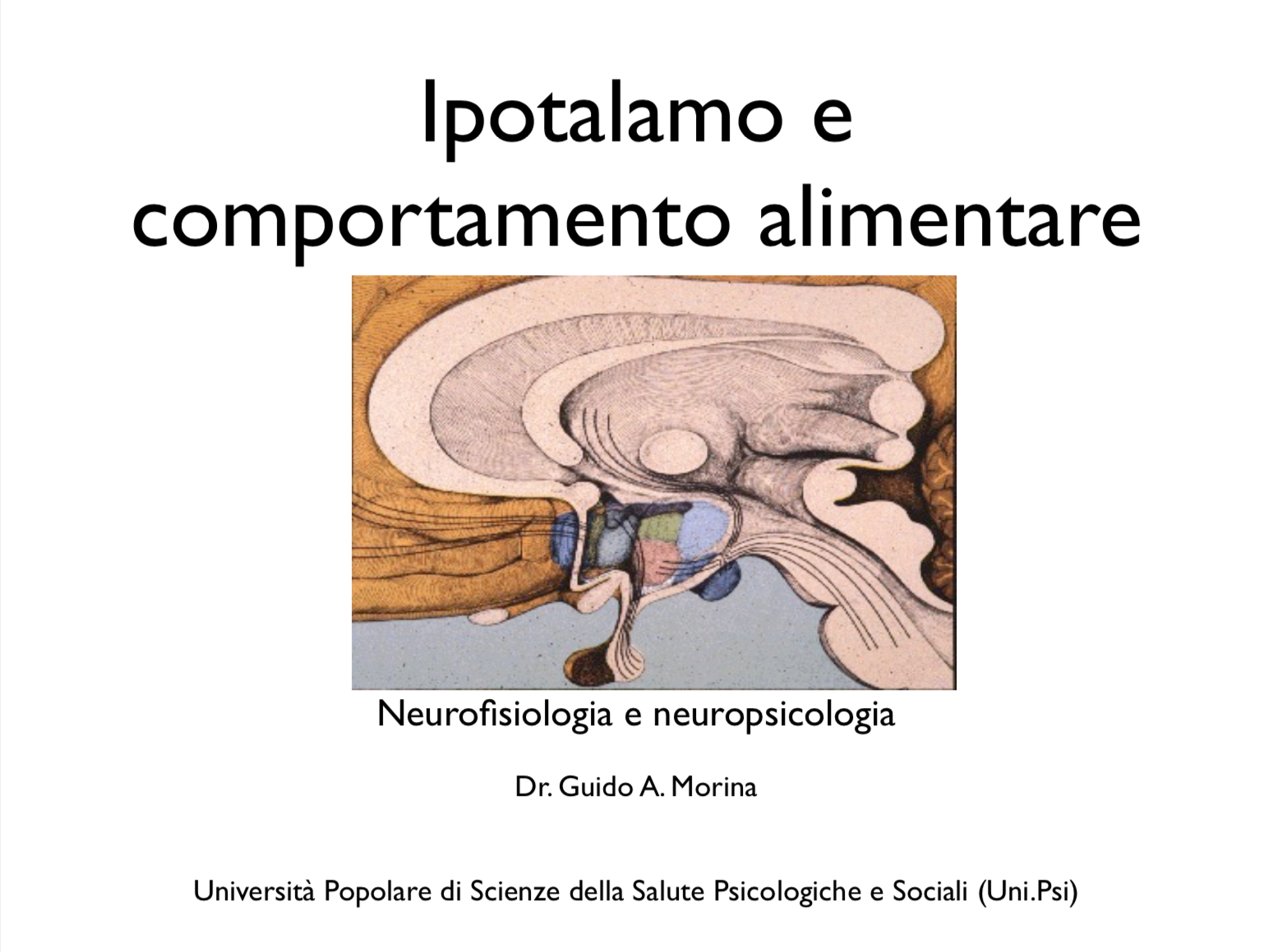 neuropsicologia