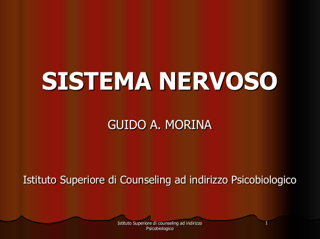 slide sistema nervoso