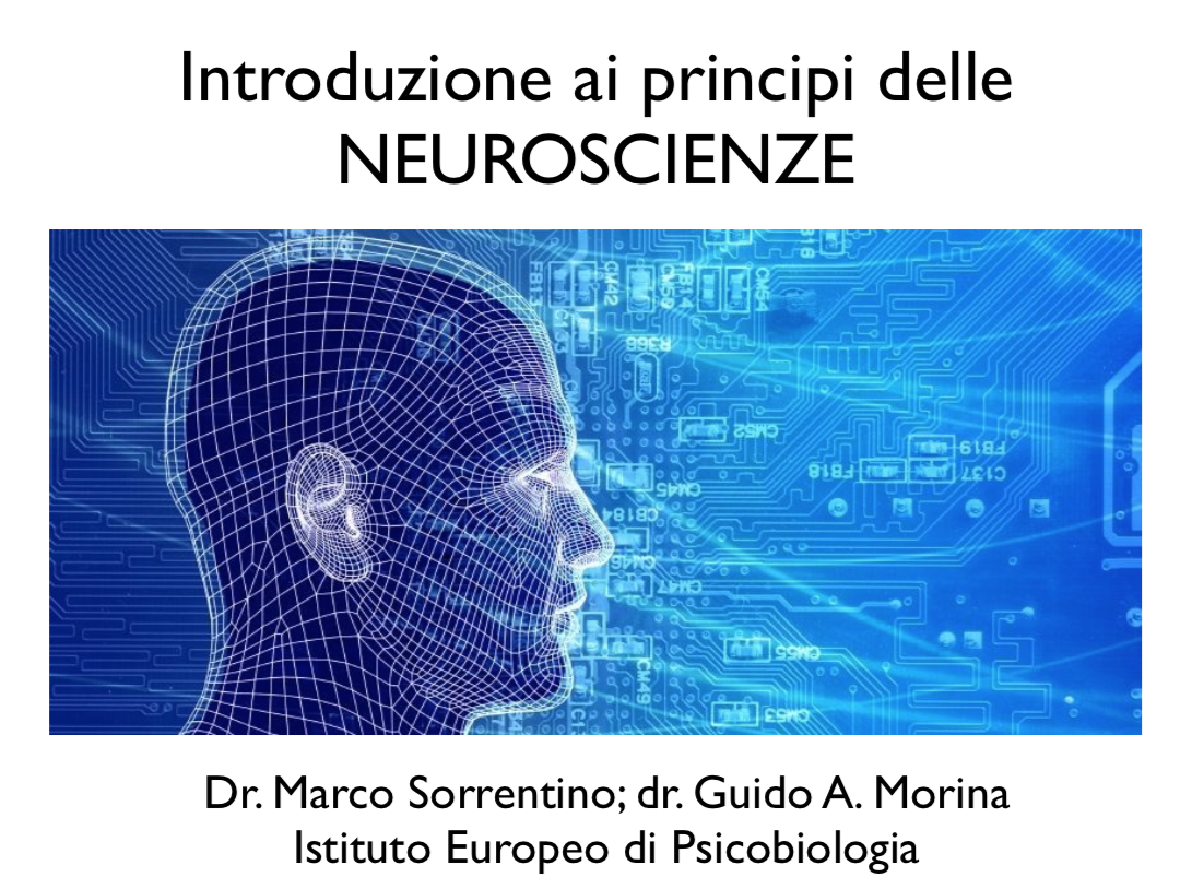 principi neuroscienze