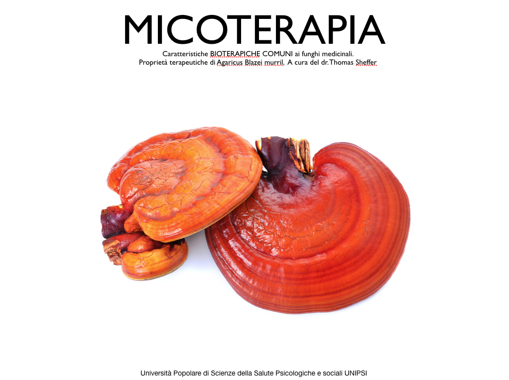 caratteristiche micoterapia