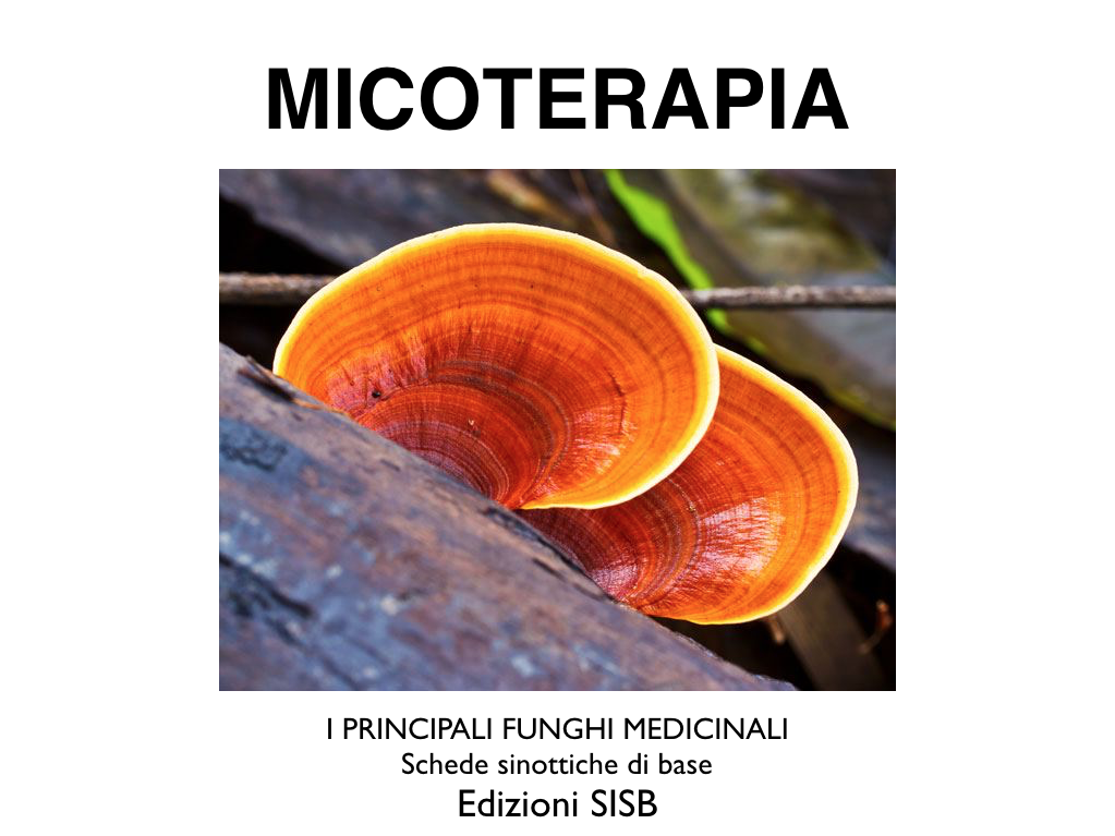 schede micoterapia