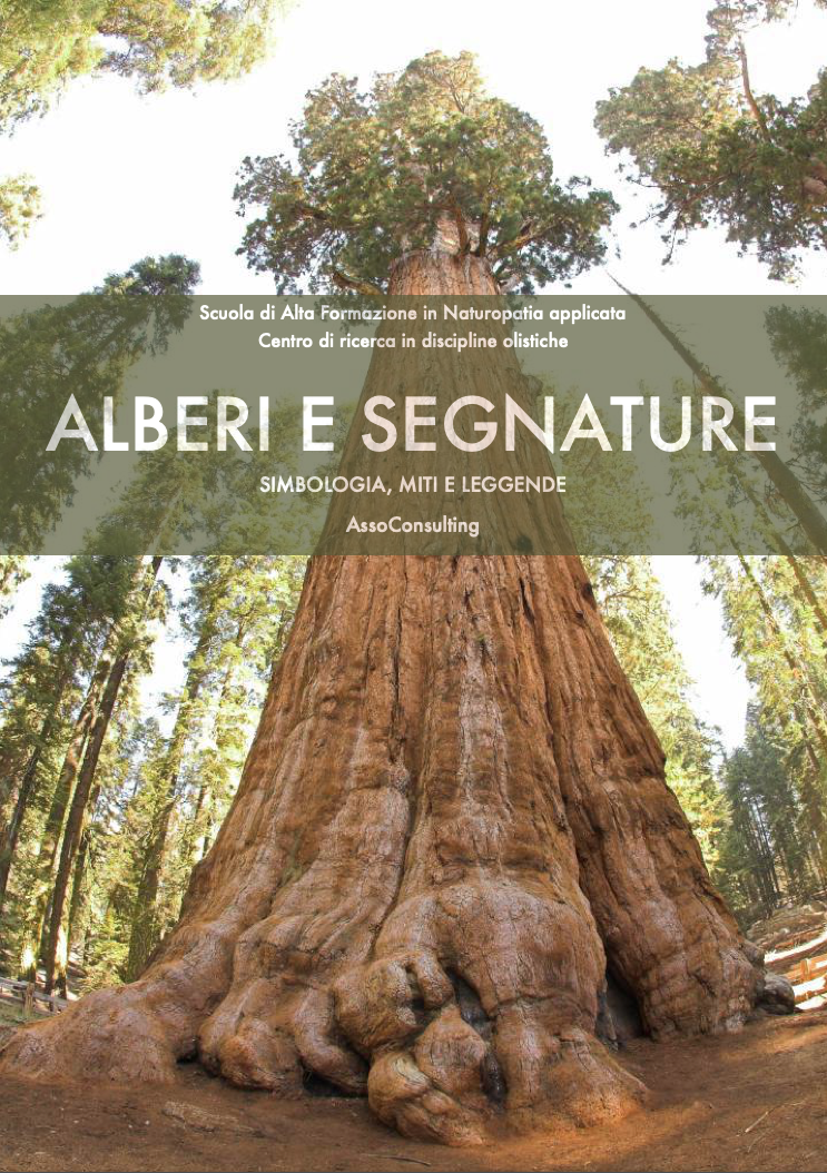 alberi e segnature