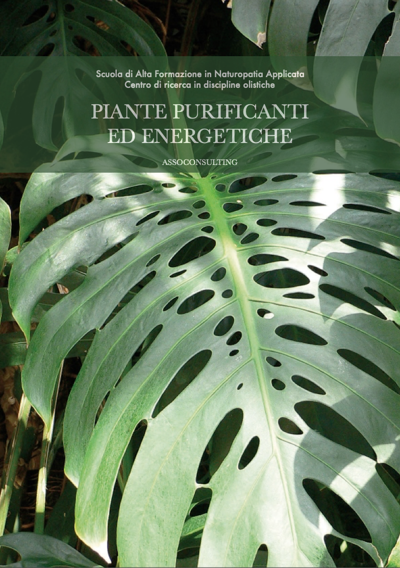 piante purificanti