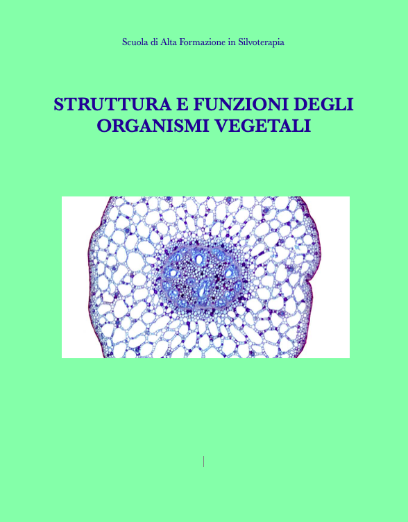 struttura e funzione degli organismi vegetali